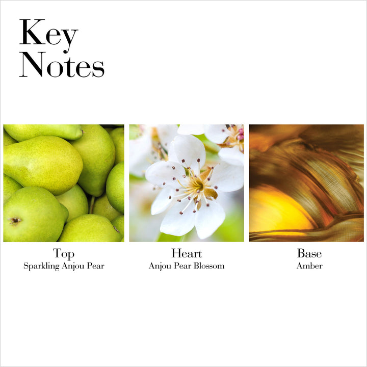 Key Notes- Top Sparkling Anjou Pear, Heart Anjou Pear Blossom and Base Amber